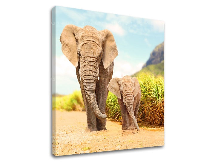 În stil boho tablou cu motivul ANIMALE, munte, peisaj în albastru-gri nuanțe | Tablou de perete ANIMALE_049-12, natură – previzualizare