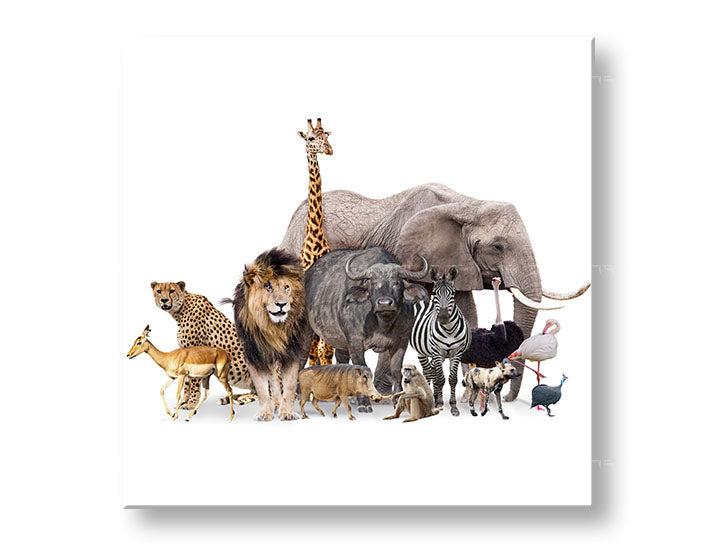 Clasic tablou pe pânză cu motivul ANIMALE, păsări, model etnic, animal în alb-maro nuanțe, potrivit pentru cameră de copii | Tablou de perete ANIMALE_051-12 – principală