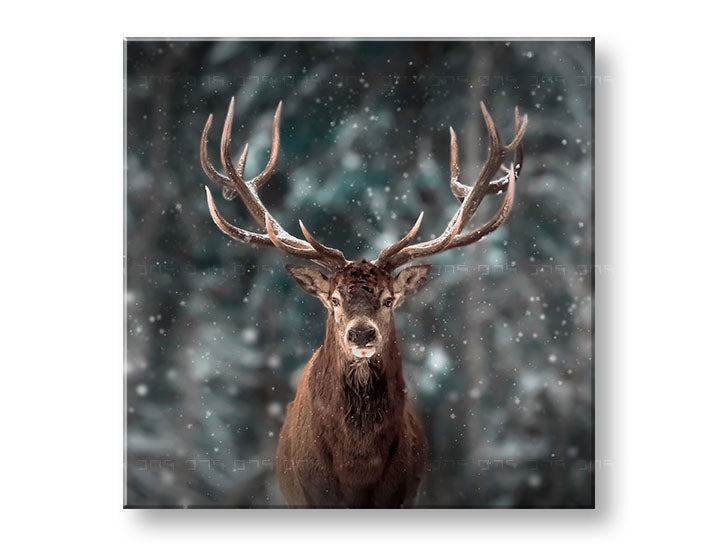 Clasic tablou pe pânză cu motivul ANIMALE, zăpadă, pădure, peisaj, natură în alb-maro nuanțe, atmosferă liniștită, natură și singurătate, potrivit pentru birou – principală
