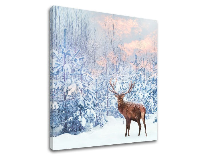 Clasic tablou cu motivul ANIMALE, cerb, zăpadă în alb-maro nuanțe | Tablou de perete ANIMALE_053-12, natură și singurătate – previzualizare