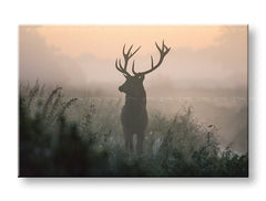 Clasic tablou pe pânză cu motivul ANIMALE, ceață ușoară, peisaj, natură, animal în portocaliu-roz nuanțe, atmosferă liniștită, natură și singurătate – principală