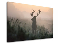 Clasic tablou pe pânză cu motivul ANIMALE, ceață ușoară, peisaj, natură, animal în portocaliu-roz nuanțe, atmosferă liniștită, natură și singurătate – produs