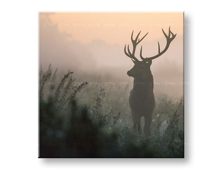 Clasic tablou pe pânză cu motivul ANIMALE, cerb, ceață ușoară, peisaj, natură în portocaliu-roz nuanțe, atmosferă liniștită, natură și singurătate – principală