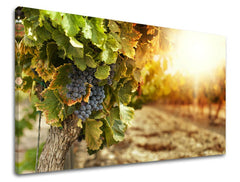 Clasic tablou pe pânză cu motivul struguri, arhitectură, motiv pentru copii, hartă în violet-verde nuanțe, atmosferă caldă, potrivit pentru bucătărie – principală