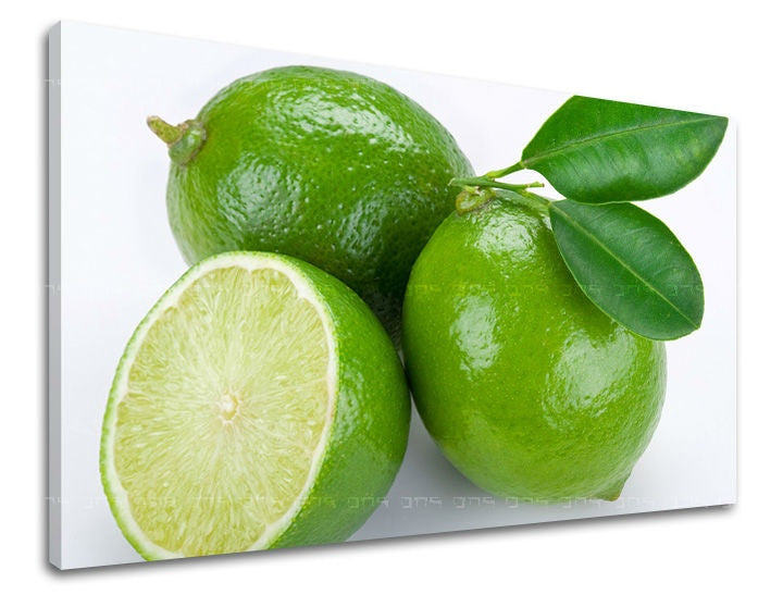 Clasic tablou pe pânză cu motivul frunze, peisaj, natură în alb-verde nuanțe, atmosferă proaspătă, potrivit pentru bucătărie | Tablou de perete BUCĂTĂRIE – principală