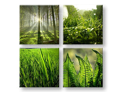 În stil boho tablou cu motivul Sunrise of Nature, pădure, peisaj în verde nuanțe | Tablou de perete Sunrise of Nature, natură și atmosferă de primăvară – previzualizare