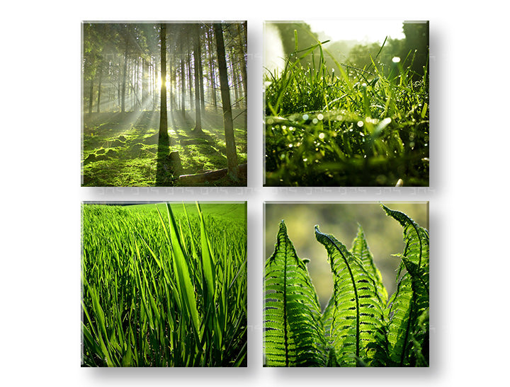 În stil boho tablou pe pânză cu motivul Sunrise of Nature, pădure, peisaj, hartă, natură în verde nuanțe, atmosferă liniștită, execuție multi-panou – principală