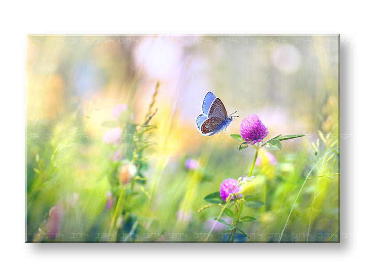 Clasic tablou pe pânză cu motivul FAREBNÉ FLORI, fluture, flori, hartă, natură în maro-albastru nuanțe, atmosferă liniștită, natură și atmosferă de primăvară – principală