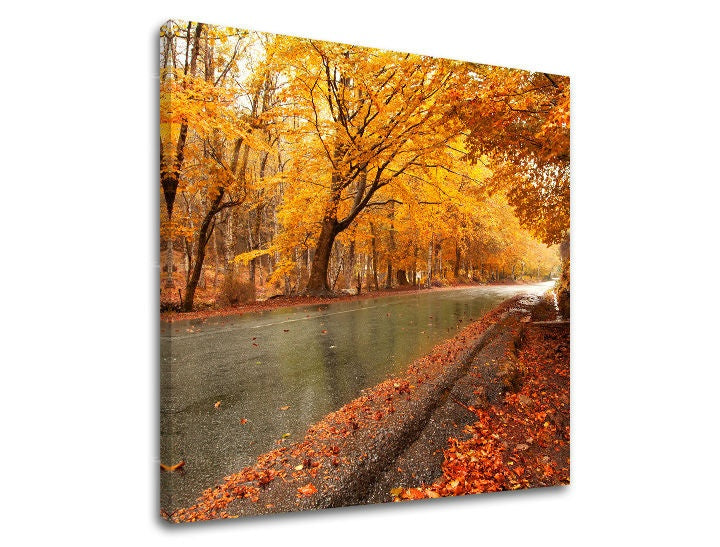 Clasic tablou pe pânză cu motivul pădure, copaci, natură în portocaliu-auriu nuanțe, atmosferă liniștită, natură și singurătate, potrivit pentru hol | Tablou de perete COPACI – principală