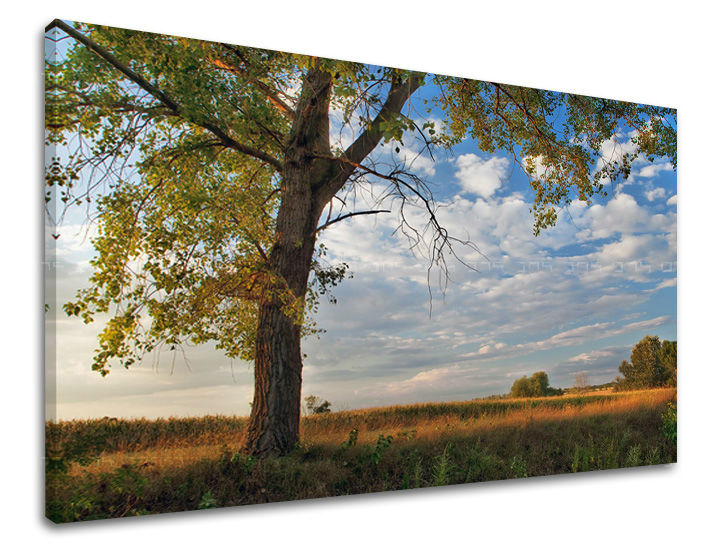 Clasic tablou pe pânză cu motivul peisaj, hartă, natură, copaci în albastru-verde nuanțe, atmosferă liniștită, natură și singurătate, potrivit pentru birou – principală