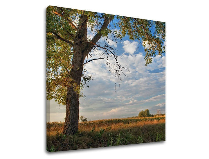 Rustic tablou pe pânză cu motivul copac, câmp, cer, nori, peisaj în albastru-verde nuanțe, atmosferă liniștită, natură și singurătate, potrivit pentru sufragerie – principală