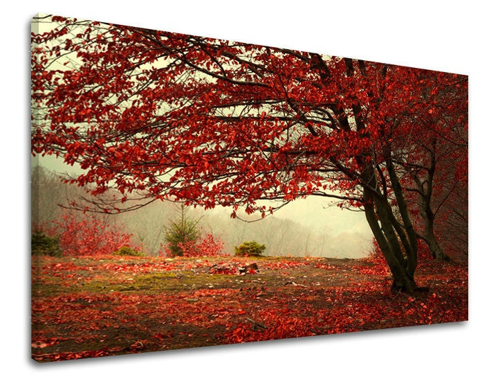Clasic tablou pe pânză cu motivul copac, natură, copaci în maro-gri nuanțe, atmosferă liniștită, natură și singurătate, potrivit pentru birou – principală