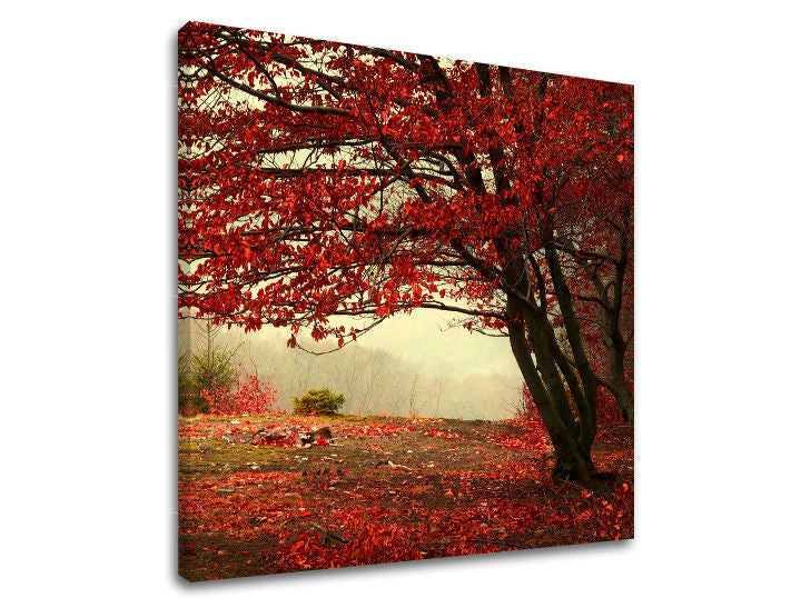 Pop art tablou pe pânză cu motivul copac, frunziș de toamnă, peisaj, natură, copaci în roșu nuanțe, atmosferă liniștită, natură și singurătate – principală