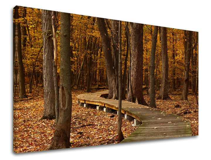 Clasic tablou pe pânză cu motivul pădure, copaci, potecă, peisaj, natură în maro-portocaliu nuanțe, atmosferă liniștită, natură și singurătate – principală
