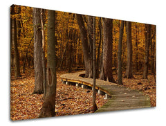 Clasic tablou pe pânză cu motivul pădure, copaci, potecă, peisaj, natură în maro-portocaliu nuanțe, atmosferă liniștită, natură și singurătate – principală