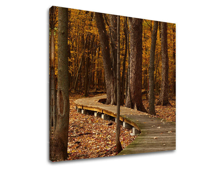 În stil boho tablou pe pânză cu motivul pădure, peisaj, natură, copaci în maro-auriu nuanțe, atmosferă liniștită, natură, potrivit pentru hol – principală