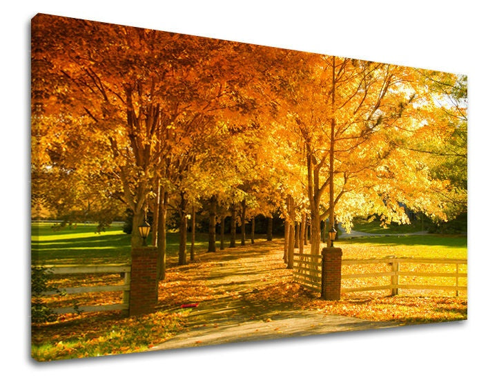 Clasic tablou pe pânză cu motivul copaci, gard, hartă, natură în portocaliu-verde nuanțe, atmosferă liniștită, natură, potrivit pentru hol | Tablou de perete COPACI – principală