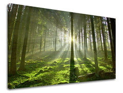 Clasic tablou cu motivul copaci, pădure, motiv pentru copii în maro-verde nuanțe | Tablou de perete COPACI, natură și simbol al reînnoirii – previzualizare