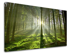 Clasic tablou pe pânză cu motivul copaci, pădure, motiv pentru copii, peisaj, hartă în maro-verde nuanțe, atmosferă liniștită, natură și simbol al reînnoirii – principală