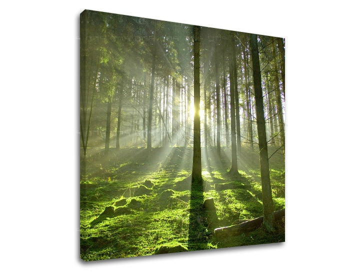 Clasic tablou pe pânză cu motivul pădure, copaci, peisaj, hartă, natură în verde-galben nuanțe, atmosferă liniștită, natură și simbol al reînnoirii – principală