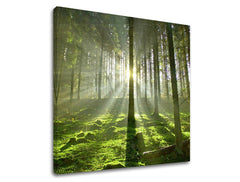 Clasic tablou pe pânză cu motivul pădure, copaci, peisaj, hartă, natură în verde-galben nuanțe, atmosferă liniștită, natură și simbol al reînnoirii – principală