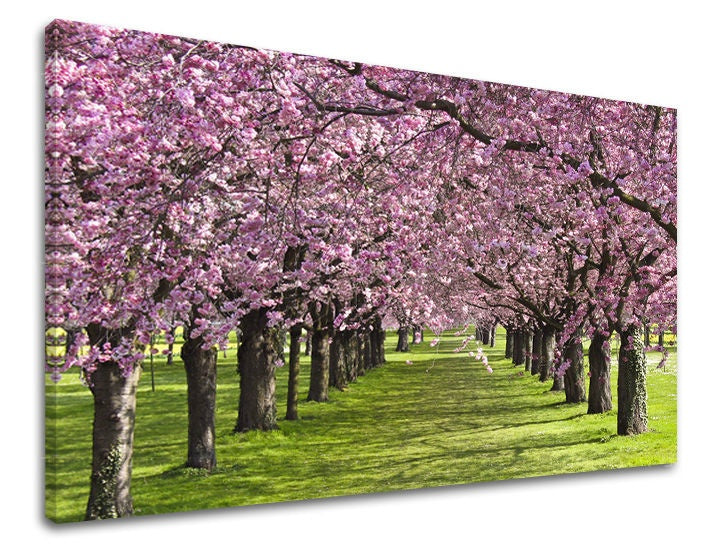 Clasic tablou pe pânză cu motivul flori, hartă, natură, copaci în maro-roz nuanțe, atmosferă liniștită, atmosferă de primăvară și natură, potrivit pentru hol – principală