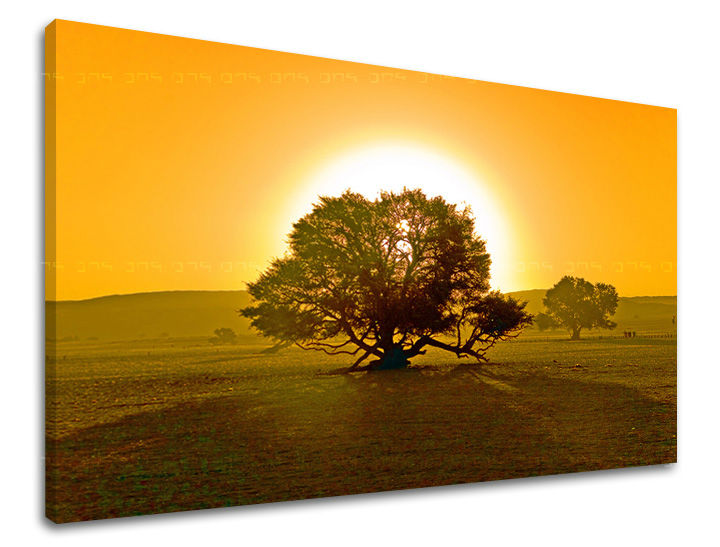 Clasic tablou pe pânză cu motivul copac, soare, câmp, cer, peisaj în maro-portocaliu nuanțe, atmosferă liniștită, natură și singurătate, potrivit pentru sufragerie – principală
