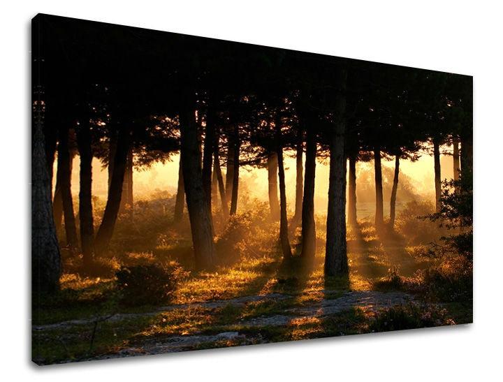 Clasic tablou pe pânză cu motivul pădure, copaci, potecă, ceață ușoară, motiv pentru copii în maro-verde nuanțe, atmosferă liniștită, natură și singurătate – principală