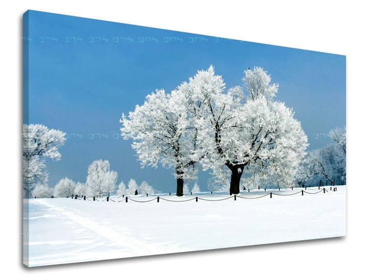 Clasic tablou pe pânză cu motivul peisaj, natură, copaci în alb-albastru nuanțe, atmosferă liniștită, natură, potrivit pentru sufragerie | Tablou de perete COPACI – principală