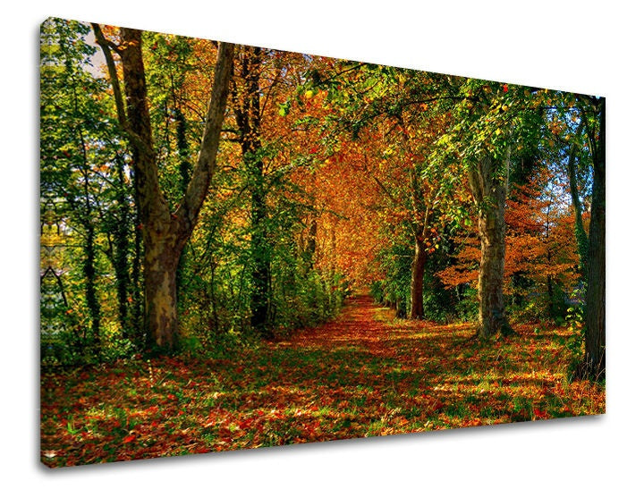 Clasic tablou pe pânză cu motivul copaci, cer, peisaj, hartă, natură în maro-portocaliu nuanțe, atmosferă liniștită, natură și singurătate, potrivit pentru hol – principală
