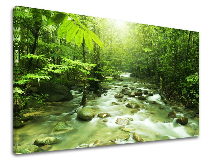 Clasic tablou pe pânză cu motivul pădure, peisaj, hartă, natură, copaci în verde nuanțe, atmosferă liniștită, natură și creștere și dezvoltare, potrivit pentru sufragerie – principală