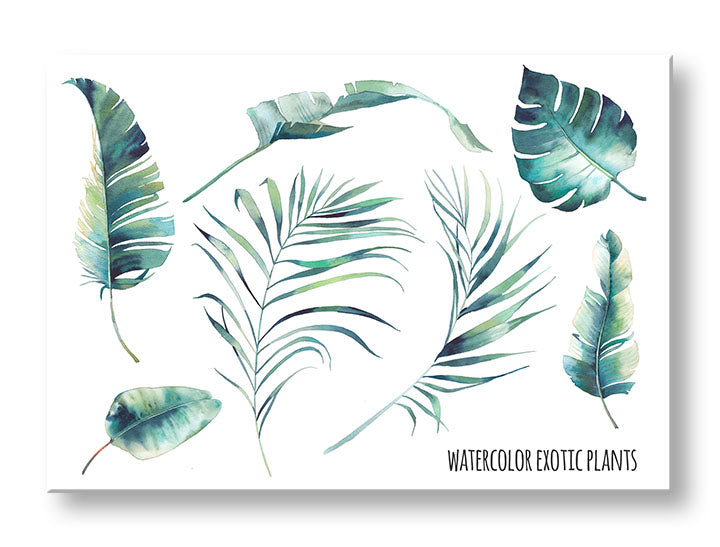 Modern tablou pe pânză cu motivul natură în alb-albastru nuanțe, atmosferă proaspătă, natură și paradis tropical, potrivit pentru birou | Tablou de perete s textom Watercolor exotic plants – principală