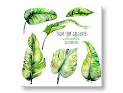 Modern tablou pe pânză cu motivul natură în alb-verde nuanțe, atmosferă proaspătă, natură și paradis tropical, potrivit pentru sufragerie | Tablou de perete s textom Palm tropical leaves – principală