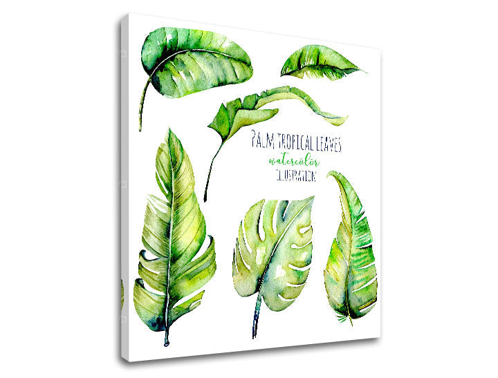 Modern tablou pe pânză cu motivul natură în alb-verde nuanțe, atmosferă proaspătă, natură și paradis tropical, potrivit pentru sufragerie | Tablou de perete s textom Palm tropical leaves – produs