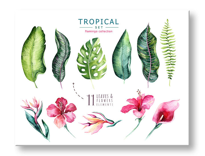 Pop art tablou pe pânză cu motivul flori, natură în alb-roz nuanțe, atmosferă proaspătă, natură și paradis tropical, potrivit pentru sufragerie | Tablou de perete s textom Tropical set flamingo – principală