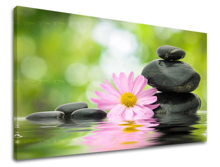 Clasic tablou pe pânză cu motivul FENG SHUI, natură în roz-verde nuanțe, atmosferă liniștită, armonie, potrivit pentru sufragerie | Tablou de perete FENG SHUI – principală