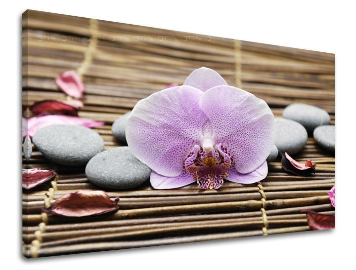 Clasic tablou pe pânză cu motivul FENG SHUI, orhidee, flori, natură în maro-roz nuanțe, atmosferă liniștită, natură, potrivit pentru sufragerie – principală