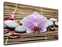 Clasic tablou pe pânză cu motivul FENG SHUI, orhidee, flori, natură în maro-roz nuanțe, atmosferă liniștită, natură, potrivit pentru sufragerie – principală