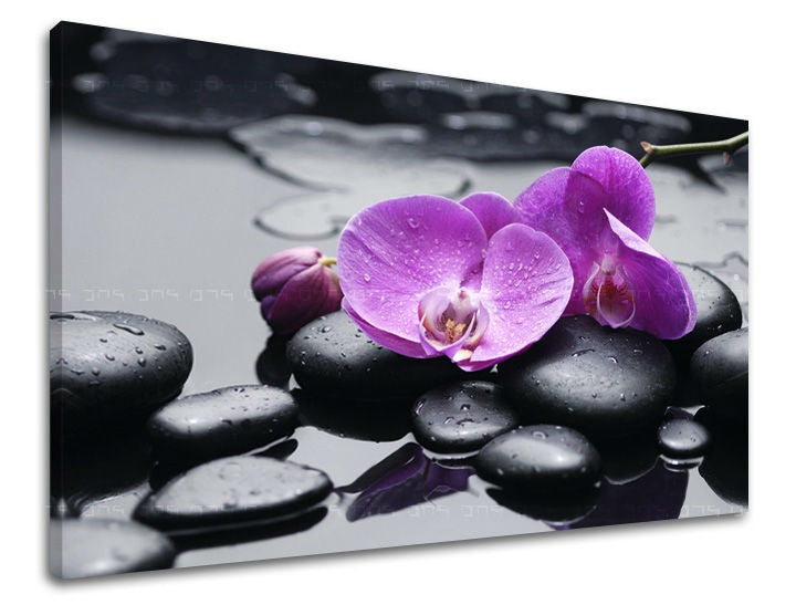 Clasic tablou pe pânză cu motivul FENG SHUI, orhidee, flori, natură în violet-negru nuanțe, atmosferă liniștită, natură și minimalism – principală