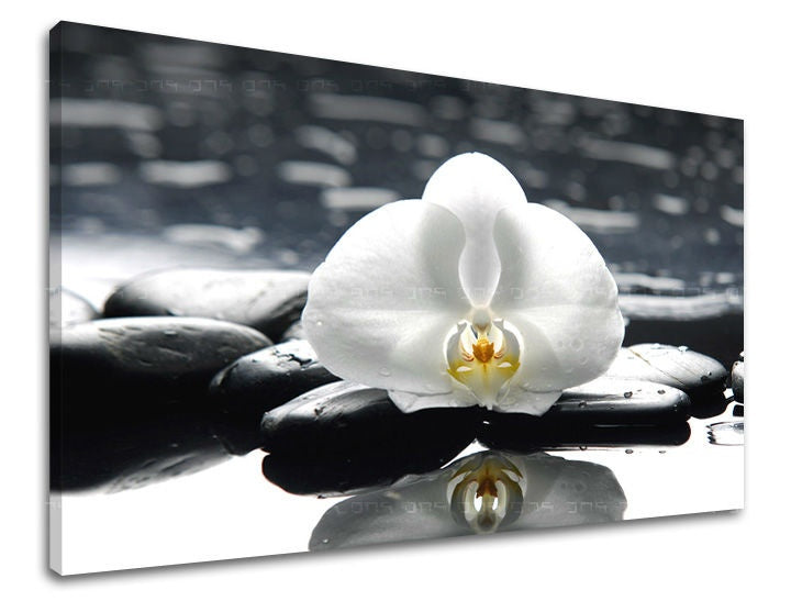 Clasic tablou cu motivul FENG SHUI, flori, natură în alb-negru nuanțe | Tablou de perete FENG SHUI, natură – previzualizare
