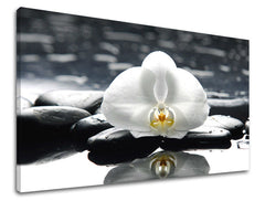 Clasic tablou pe pânză cu motivul FENG SHUI, flori, natură în alb-negru nuanțe, atmosferă liniștită, natură, potrivit pentru sufragerie | Tablou de perete FENG SHUI – principală