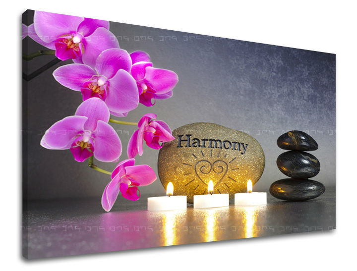 Clasic tablou pe pânză cu motivul FENG SHUI, flori, natură în roz-negru nuanțe, atmosferă liniștită, pace interioară și natură, potrivit pentru sufragerie – principală