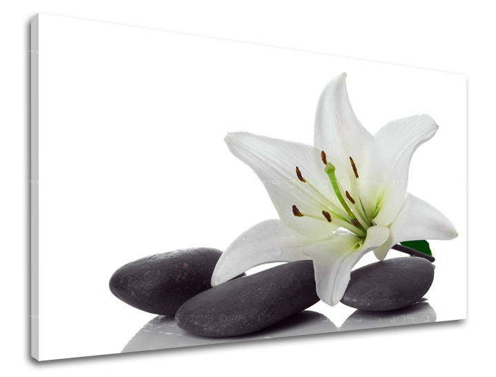 Clasic tablou pe pânză cu motivul FENG SHUI, flori, natură în alb-verde nuanțe, atmosferă liniștită, natură, potrivit pentru sufragerie | Tablou de perete FENG SHUI – principală