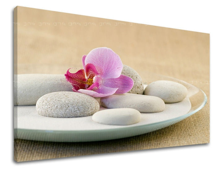 Clasic tablou pe pânză cu motivul FENG SHUI, orhidee, natură în alb-bej nuanțe, atmosferă liniștită, natură, potrivit pentru sufragerie | Tablou de perete FENG SHUI – principală