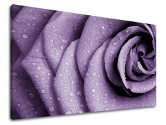 Clasic tablou pe pânză cu motivul trandafir, floare, flori, natură, animal în violet nuanțe, atmosferă romantică, natură și romantism, potrivit pentru birou de lucru – principală