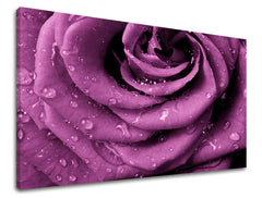 Industrial tablou pe pânză cu motivul trandafir, floare, flori, motiv religios, natură în violet nuanțe, atmosferă romantică, potrivit pentru birou de lucru – principală