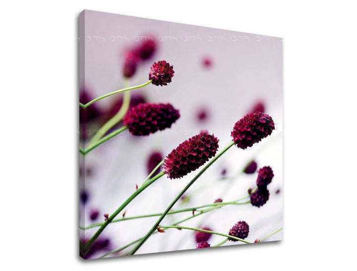 Clasic tablou pe pânză cu motivul flori, motiv religios, natură, animal în violet-verde nuanțe, atmosferă liniștită, atmosferă de primăvară și creștere și dezvoltare – principală