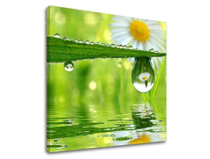 Clasic tablou pe pânză cu motivul list, margaretă, flori în alb-verde nuanțe, atmosferă proaspătă, natură și atmosferă de primăvară, potrivit pentru bucătărie – principală