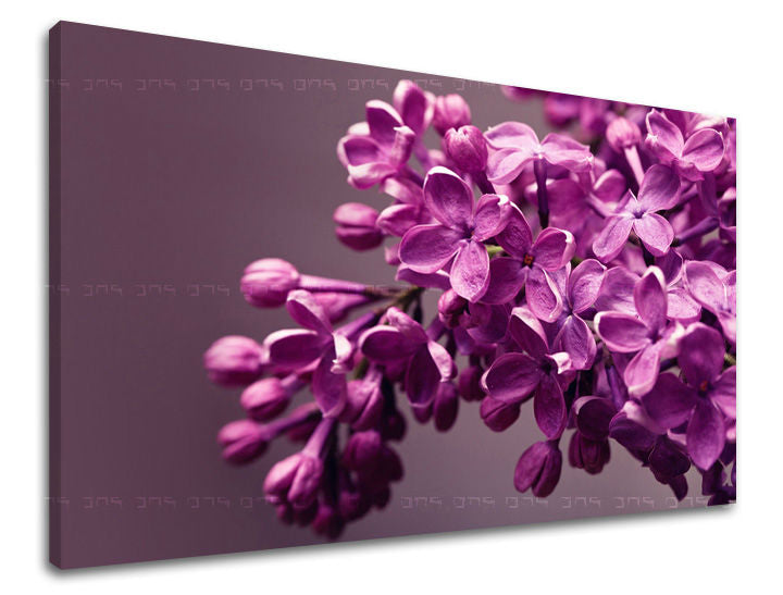 Clasic tablou pe pânză cu motivul flori, motiv religios, natură, animal în violet nuanțe, atmosferă liniștită, atmosferă de primăvară și natură – principală