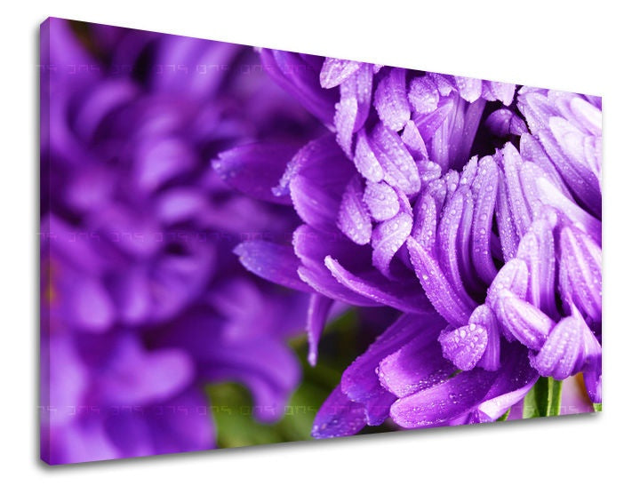 Clasic tablou pe pânză cu motivul flori, natură în violet-verde nuanțe, atmosferă liniștită, natură și simbol al reînnoirii, potrivit pentru sufragerie – principală